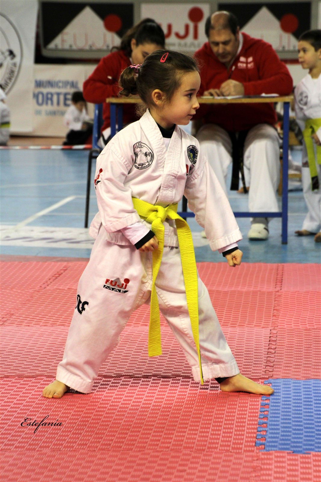 Taekwondo (95).jpg